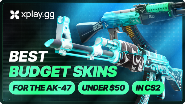 Best Budget AK-47 Skins Under $50 in CS2